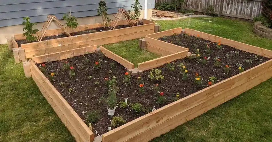 Raised Garden Beds