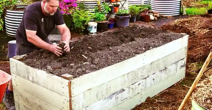 Raised Garden Beds