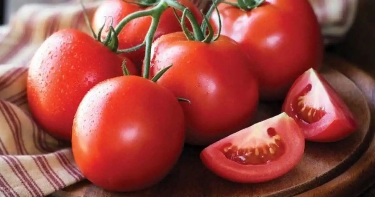 Tomatoes